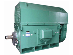 尼木Y系列6KV高压电机